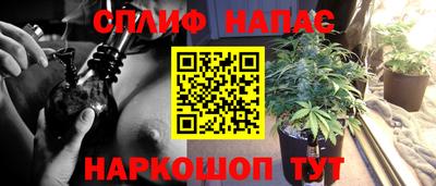 индика Малоярославец