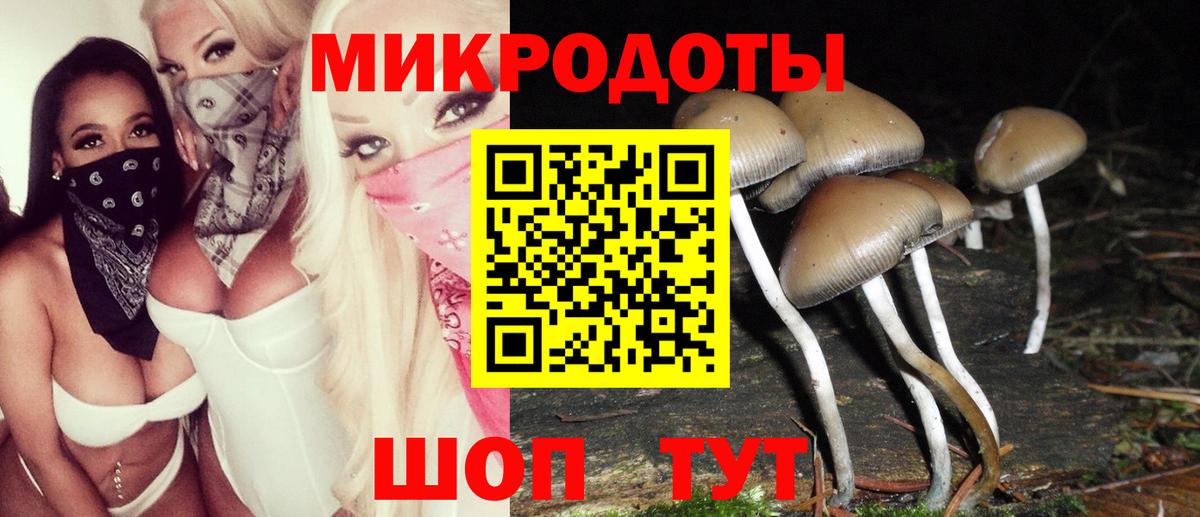 Псилоцибиновые грибы мицелий Фрязино