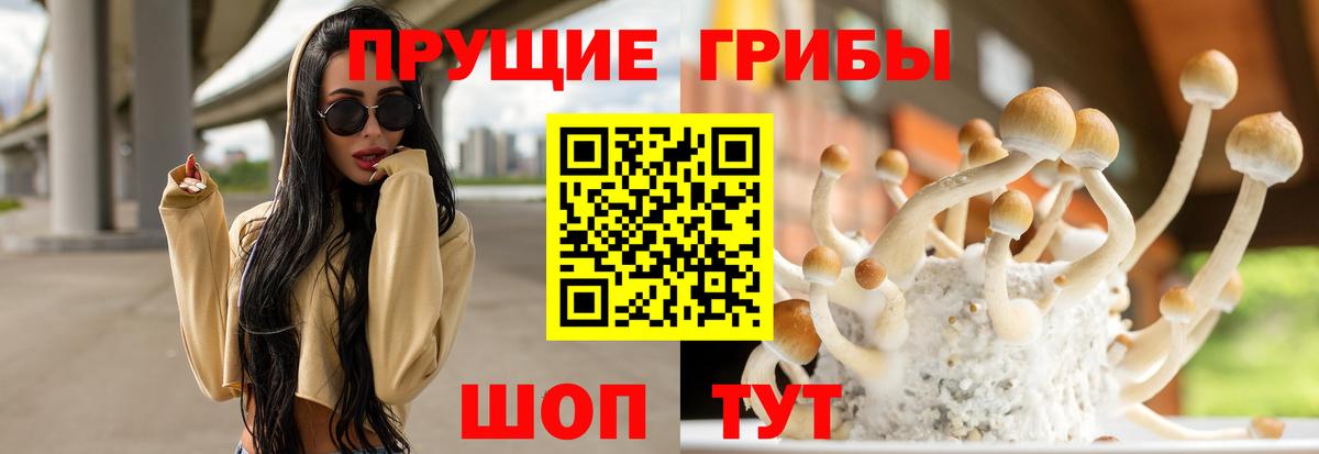 Галлюциногенные грибы MAGIC MUSHROOMS  продажа наркотиков  Фрязино  Вход с VPN  Галлюциногенные грибы прущие грибы 